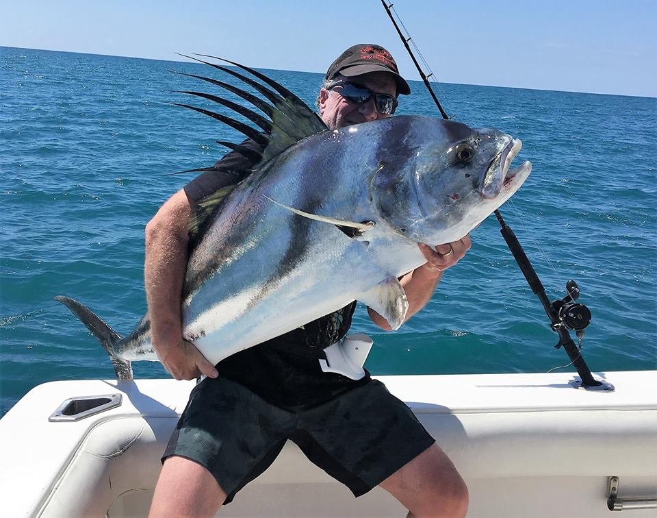 costa rica rooster fish