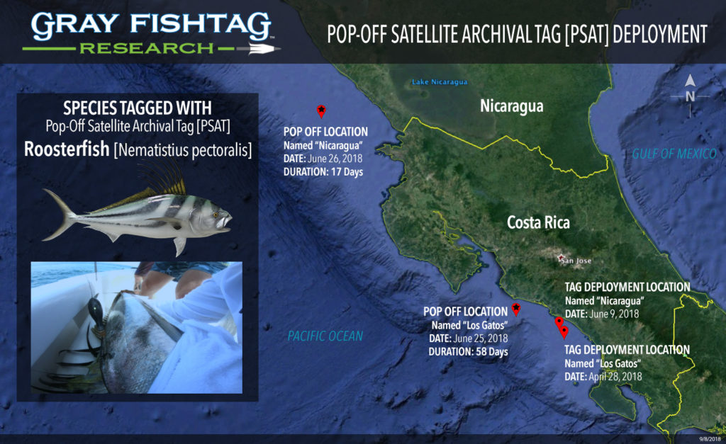 Mapa Costa Rica Roosterfish