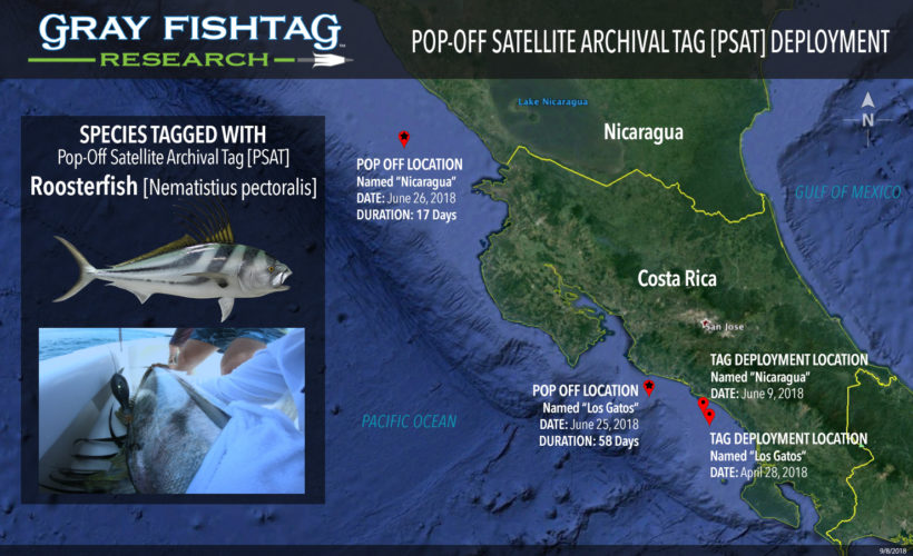 Map Costa Rica Roosterfish
