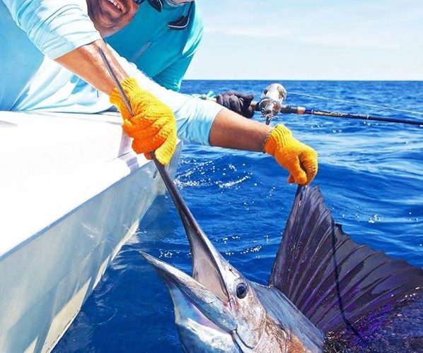 Costa Rica fishing sailfish
