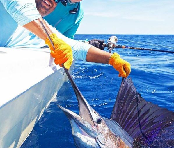 Costa Rica fishing sailfish