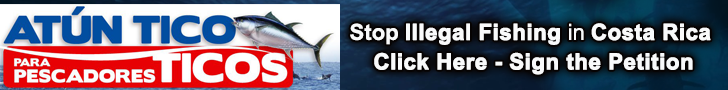 Stop Illegal Fishing in Costa Rica