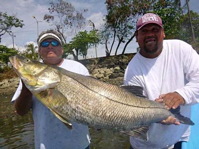 Costa Rica Snook Fishing