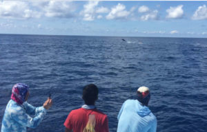 Marlin fishing in costa rica