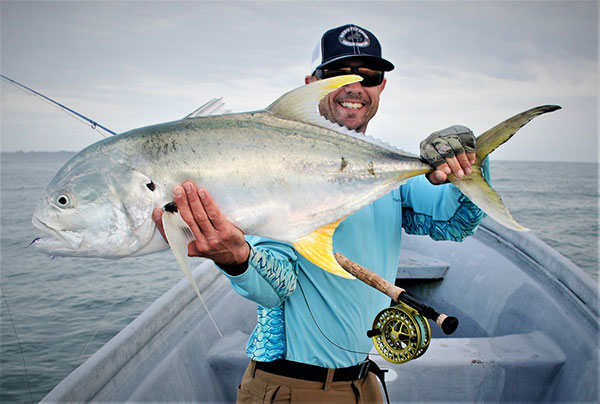 Flying Fish - A Bird in the Hand - FECOP