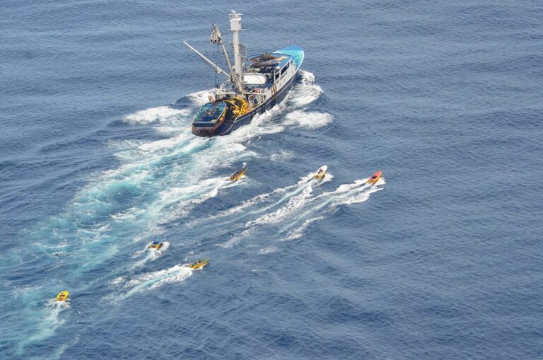 Purse Seine Boat in Costa Rica