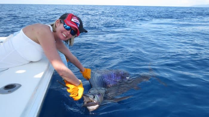 This is how sailfish should be released and photographed