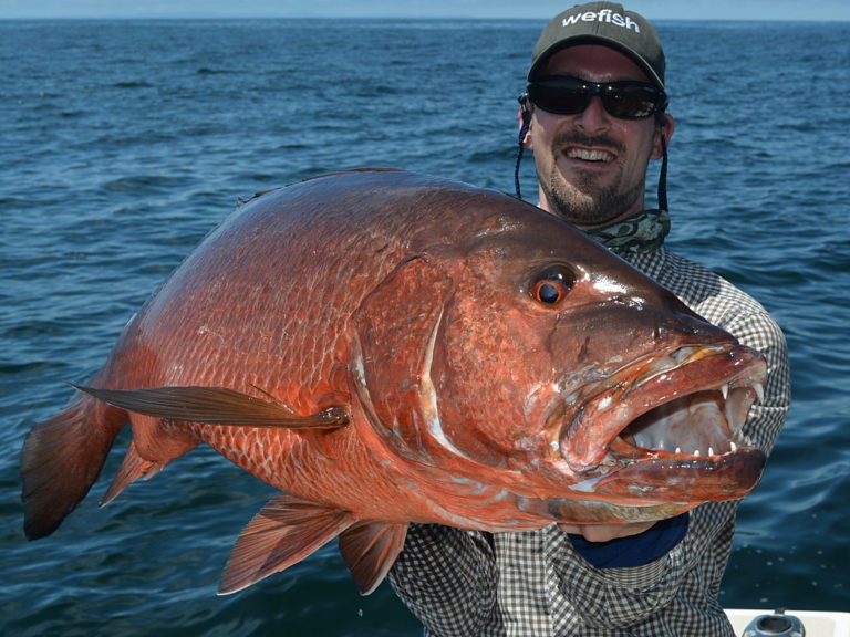 Cubera Snapper Fishing