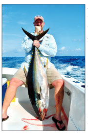 Yellowfih Tuna fishing