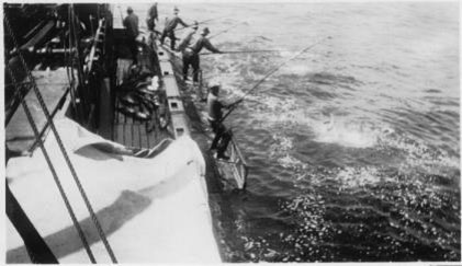 Historia japonesa temprana de la pesca del atún