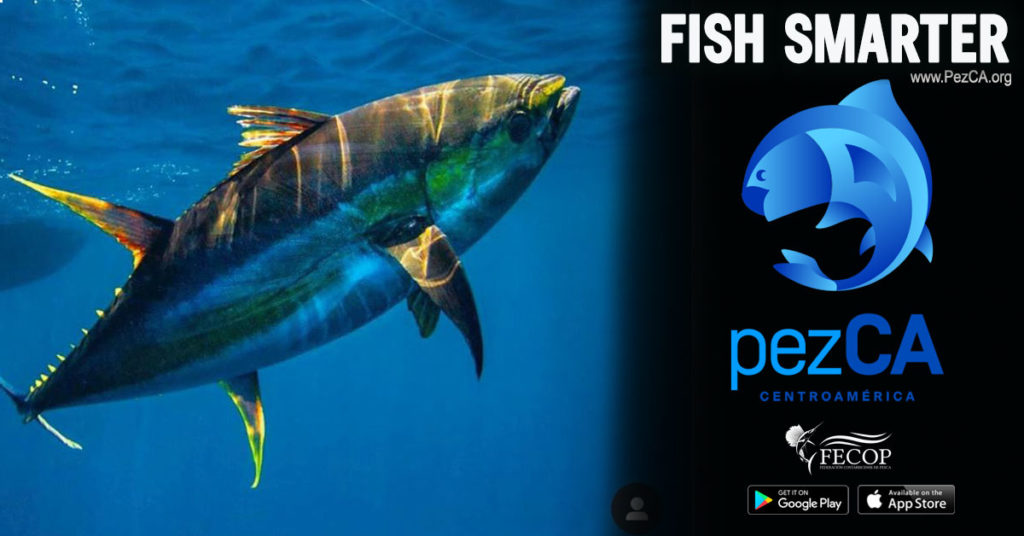 Aplicación de pesca inteligente por FECOP