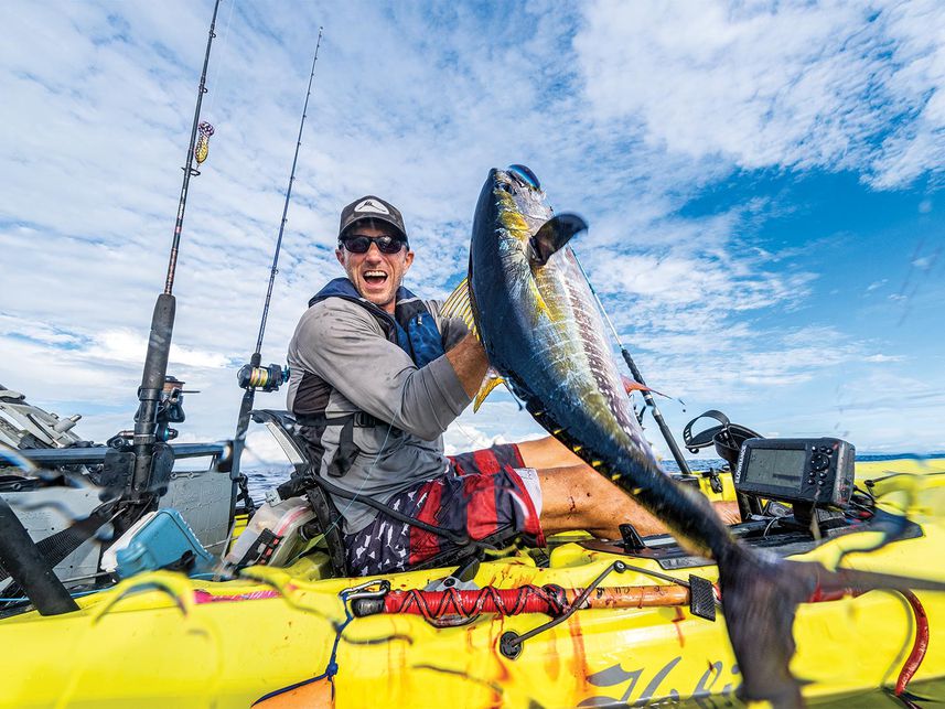 Yellowfin tuna in Kayak