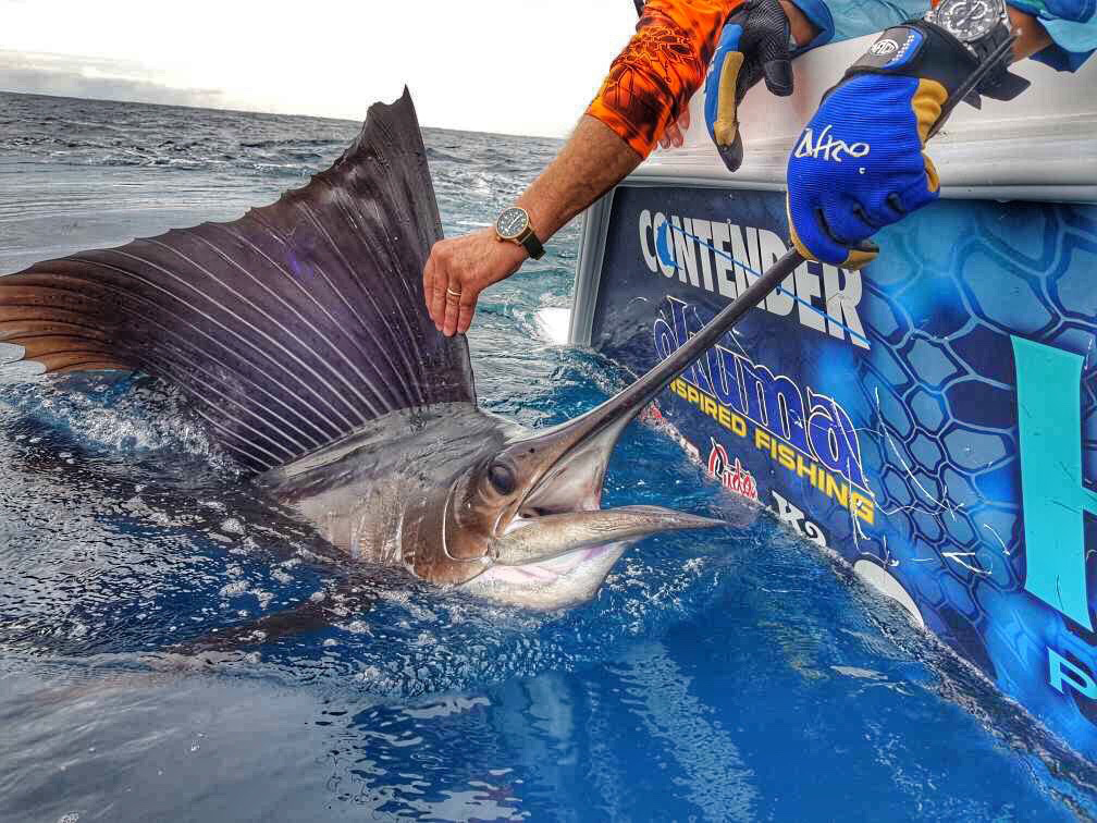  Costa Rica fishing in the Southern Zone