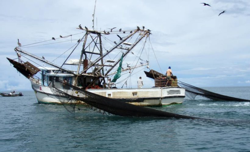 Costa Rica shrimp trawler