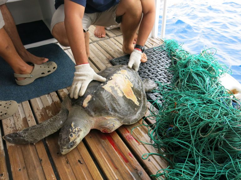 illegal-fishing-in-costa-rica