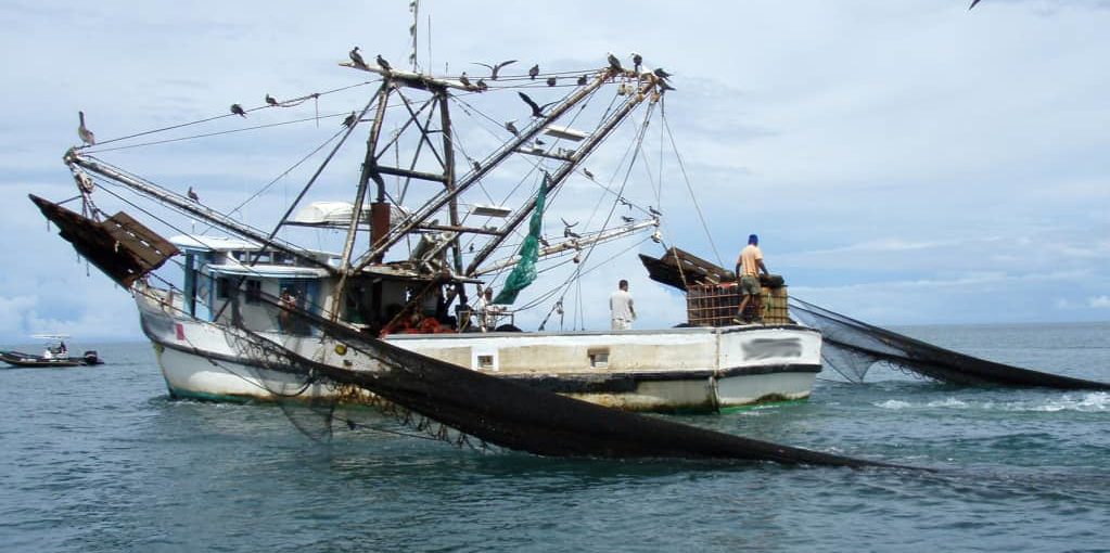 Shrimp Trawling Reversal Blocked
