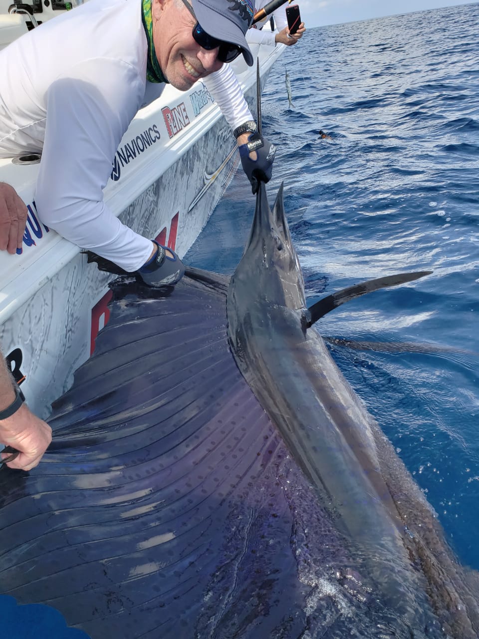 Sailfish ready for release
