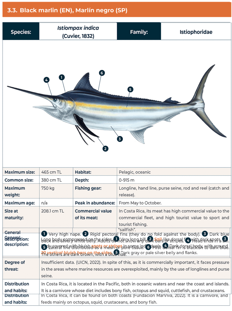 Costa Rica Box Fish A Guide to Costa Rica Fish Species - FECOP