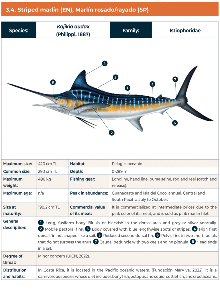 A Guide to Costa Rica Fish Species - FECOP