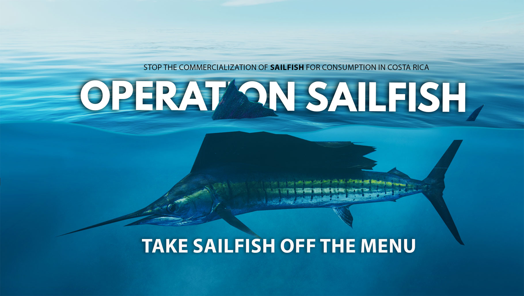 Operation Sailfish