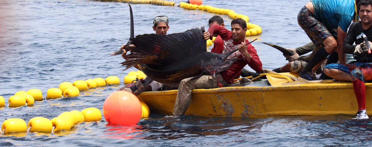 Tuna Purse Seine Bycatch Costa Rica