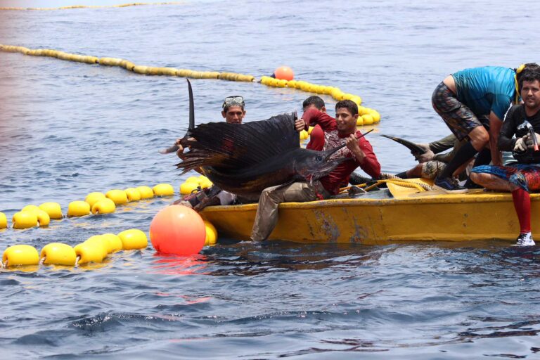 Tuna Purse Seine Bycatch Costa Rica