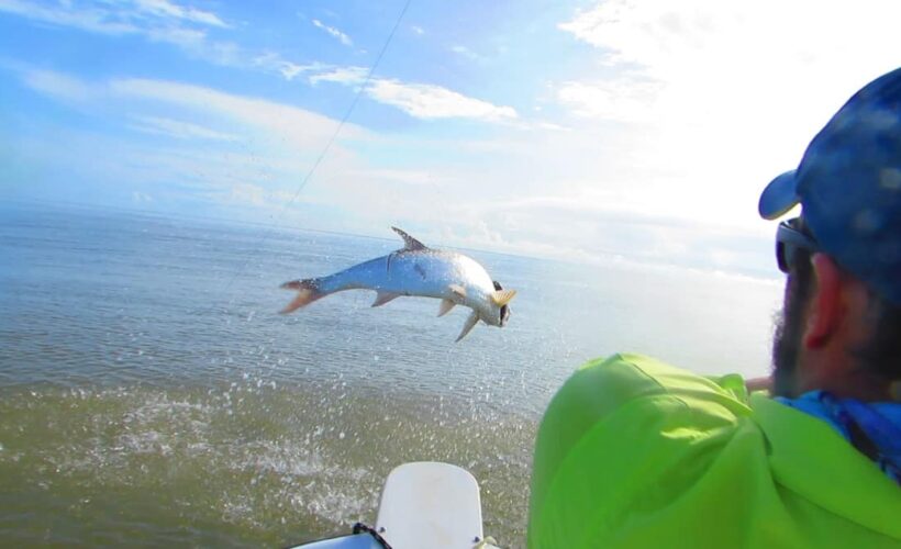 Costa Rica tarpon conservation