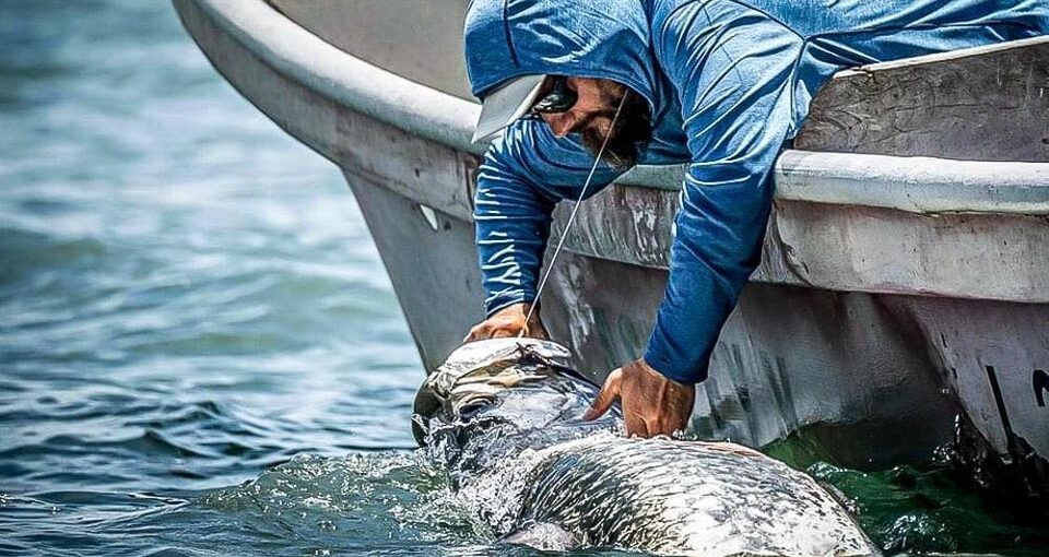 Tarpon release at side of boat