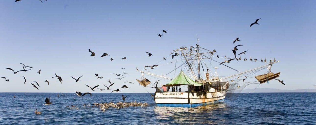 Costa Rica destructive trawling fishing