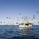 Costa Rica destructive trawling fishing