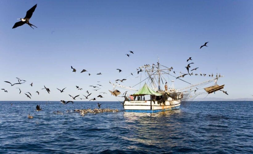 Costa Rica destructive trawling fishing