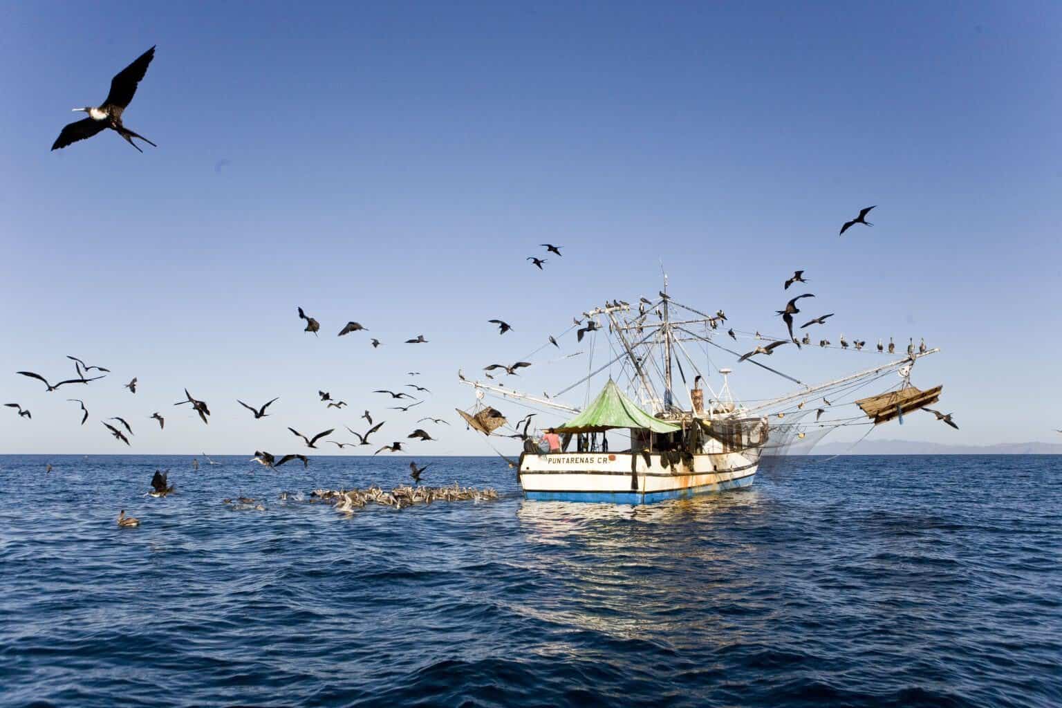 Costa Rica destructive trawling fishing