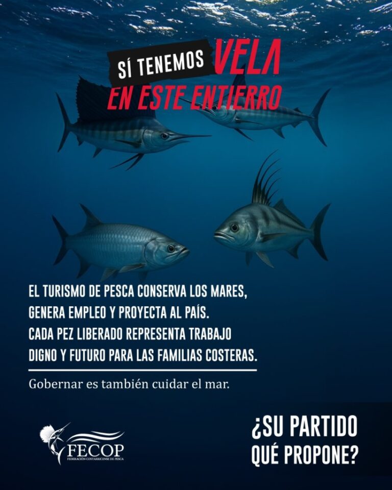 Sailfish Conservation Laws