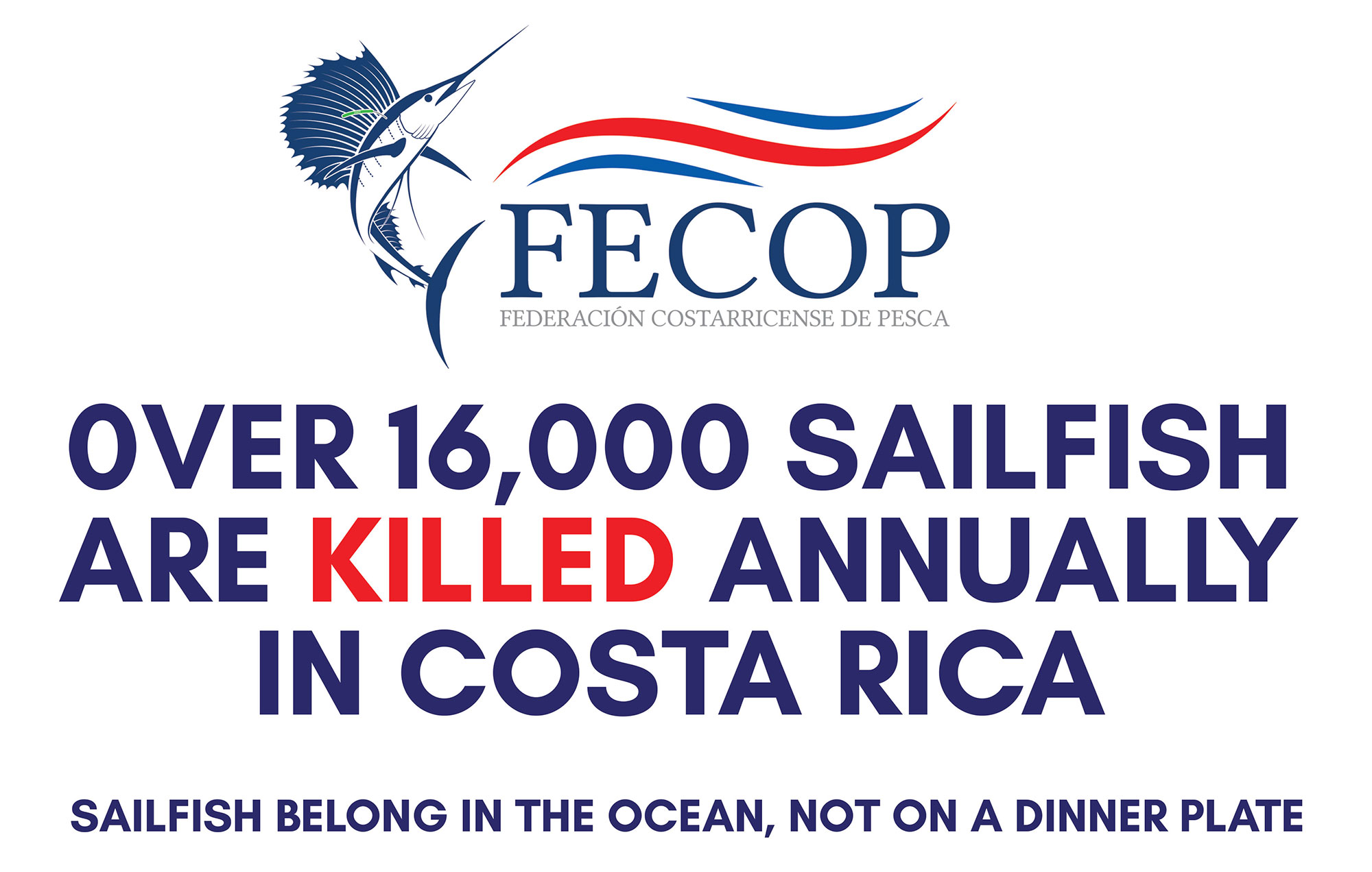 Operation Sailfish Costa Rica Fishing FECOP