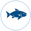 fish2