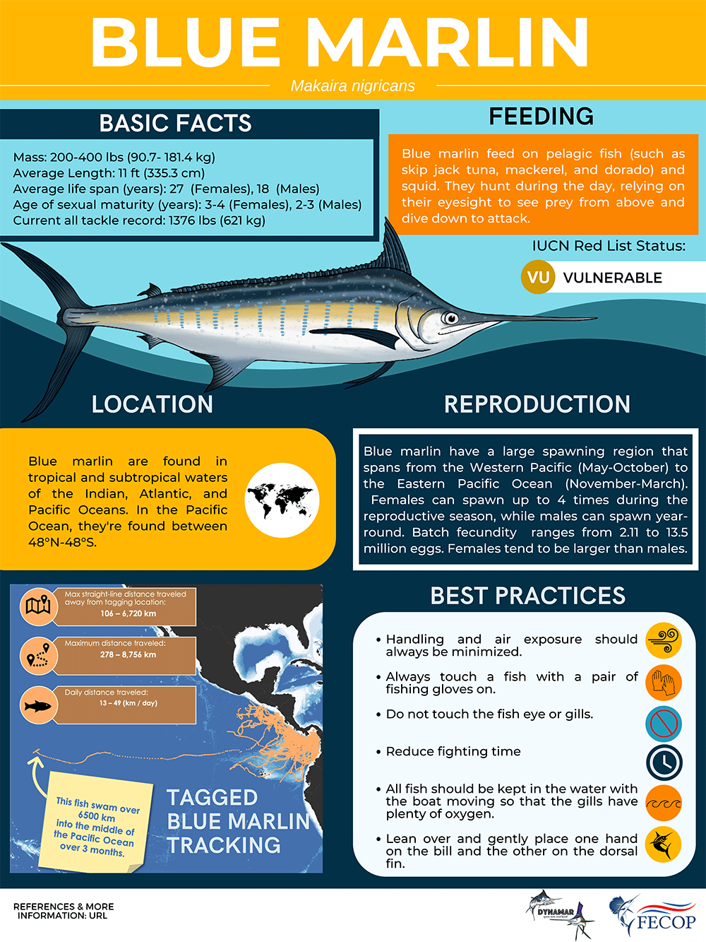 e infografías de datos de etiquetas de pez vela y aguja azul - en Costa Rica - FECOP