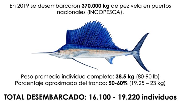 Datos de captura de pez vela