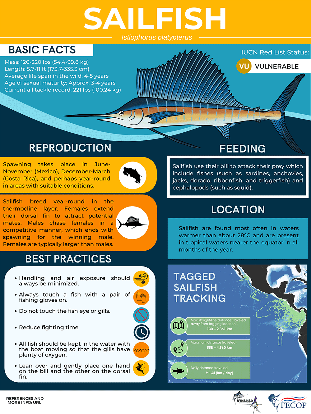 e infografías de datos de etiquetas de pez vela y aguja azul - en Costa Rica - FECOP