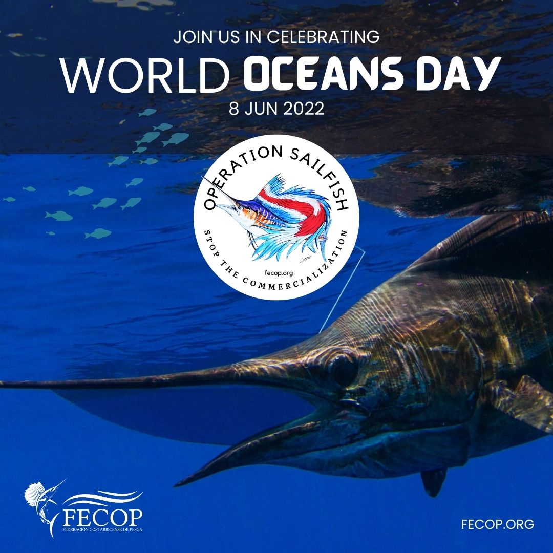 Día Mundial de los Océanos 2022